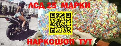 apvp Славгород