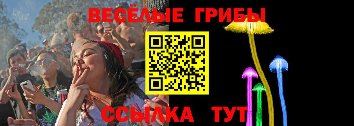 Псилоцибиновые грибы мицелий Омск